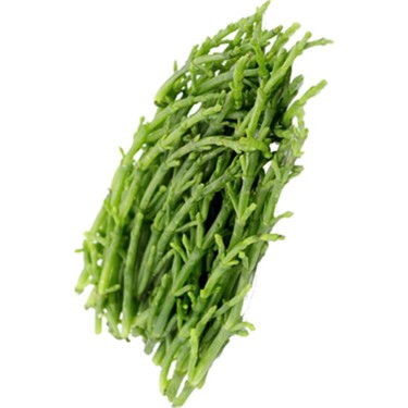 MNV. DENIZ BORULCESI