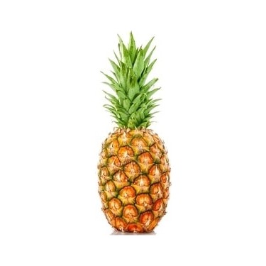 MNV. ANANAS ADET EKO